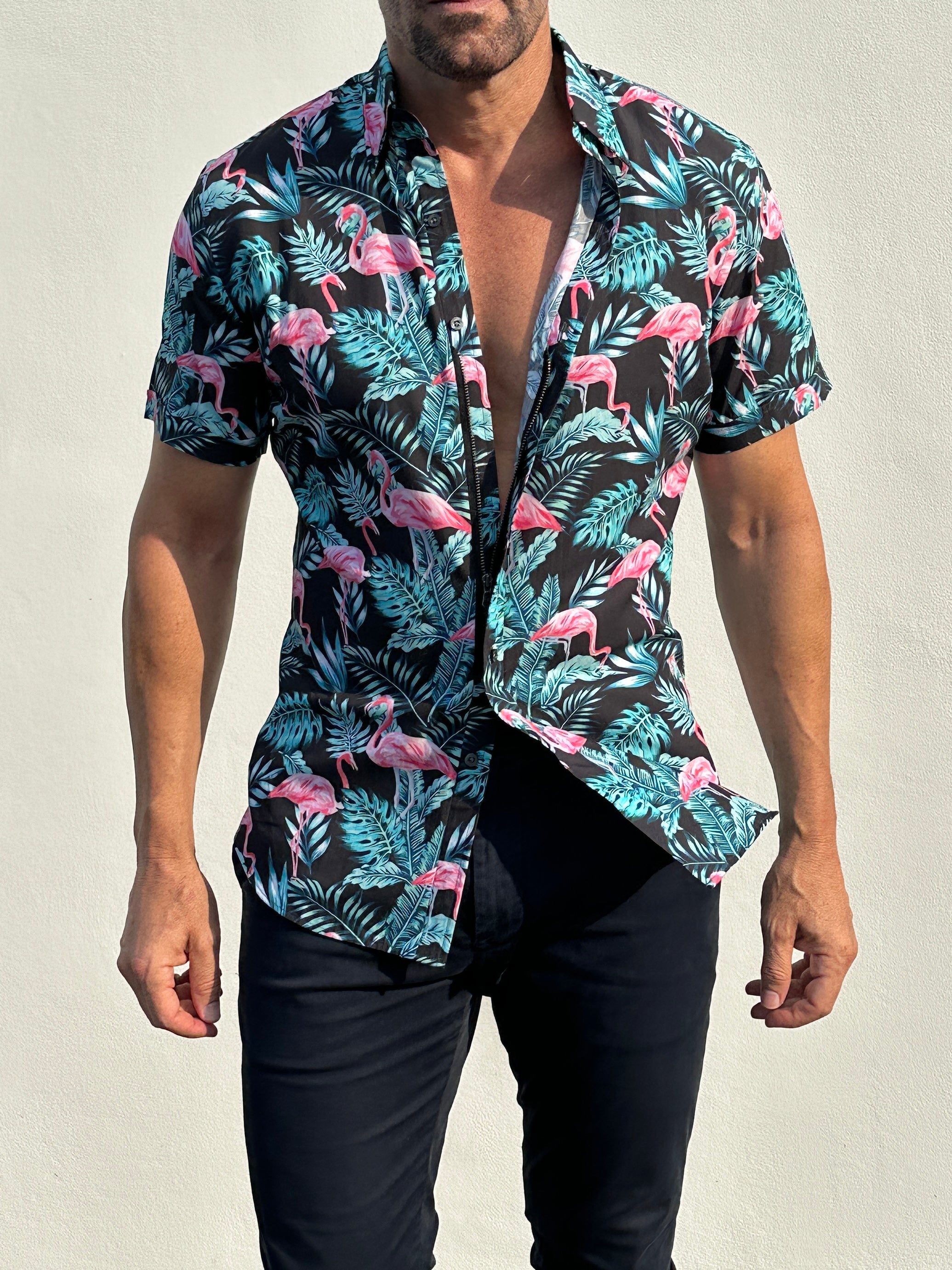 Flamingos on Cotton - Flamingos