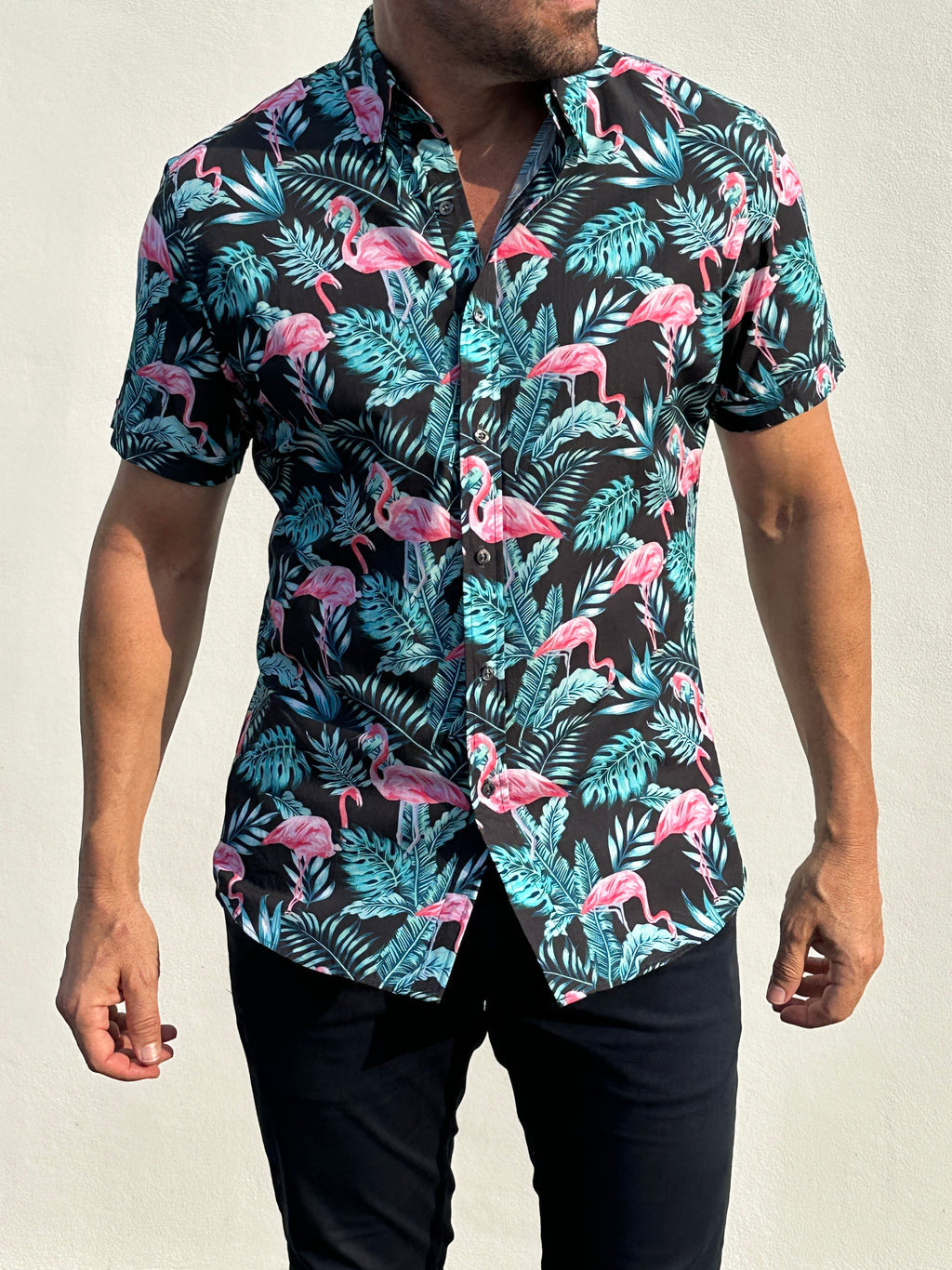 Flamingos on Cotton - Flamingos
