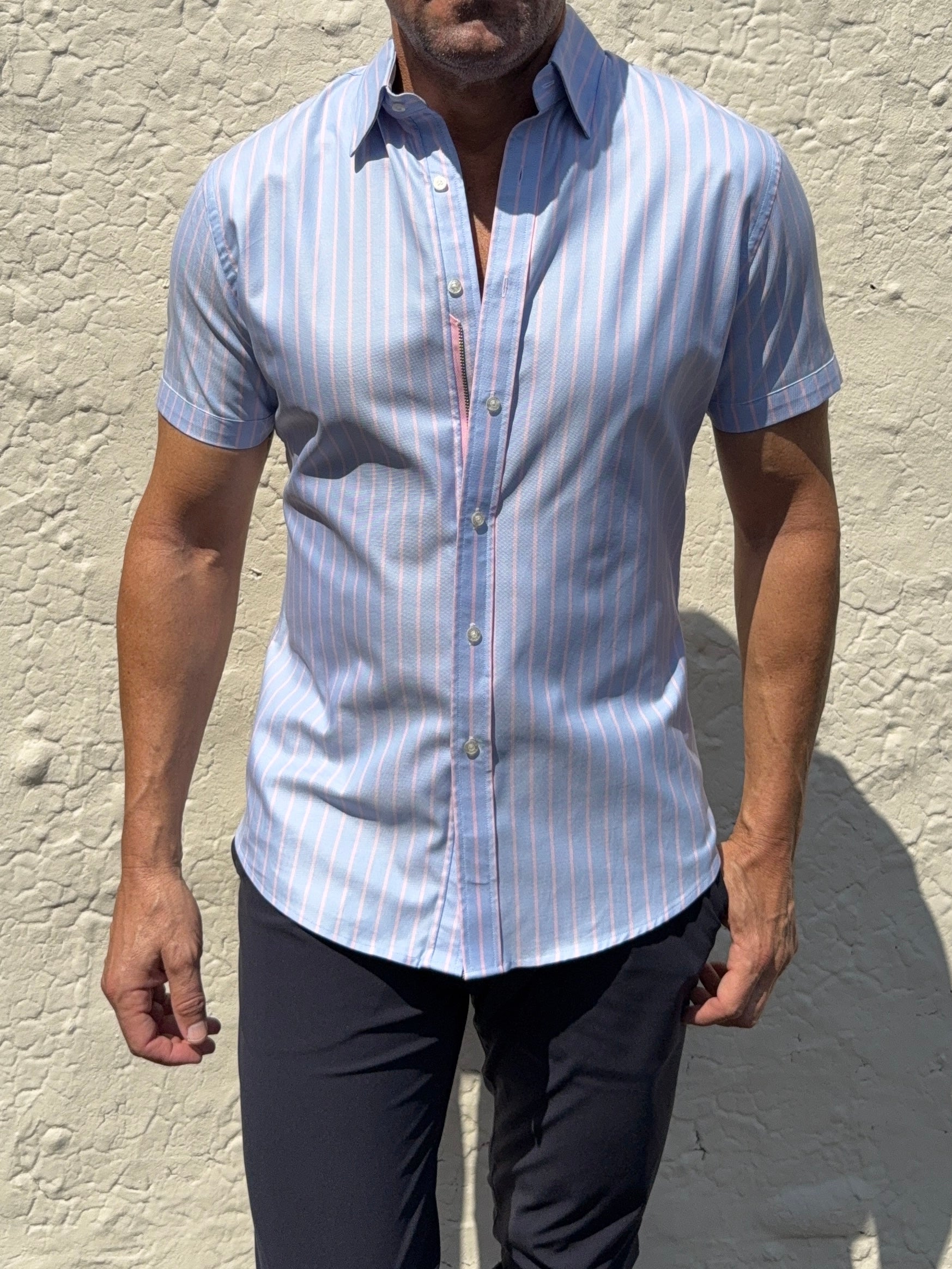 Short Sleeve Striped Oxford - Light Blue Pink Stripe