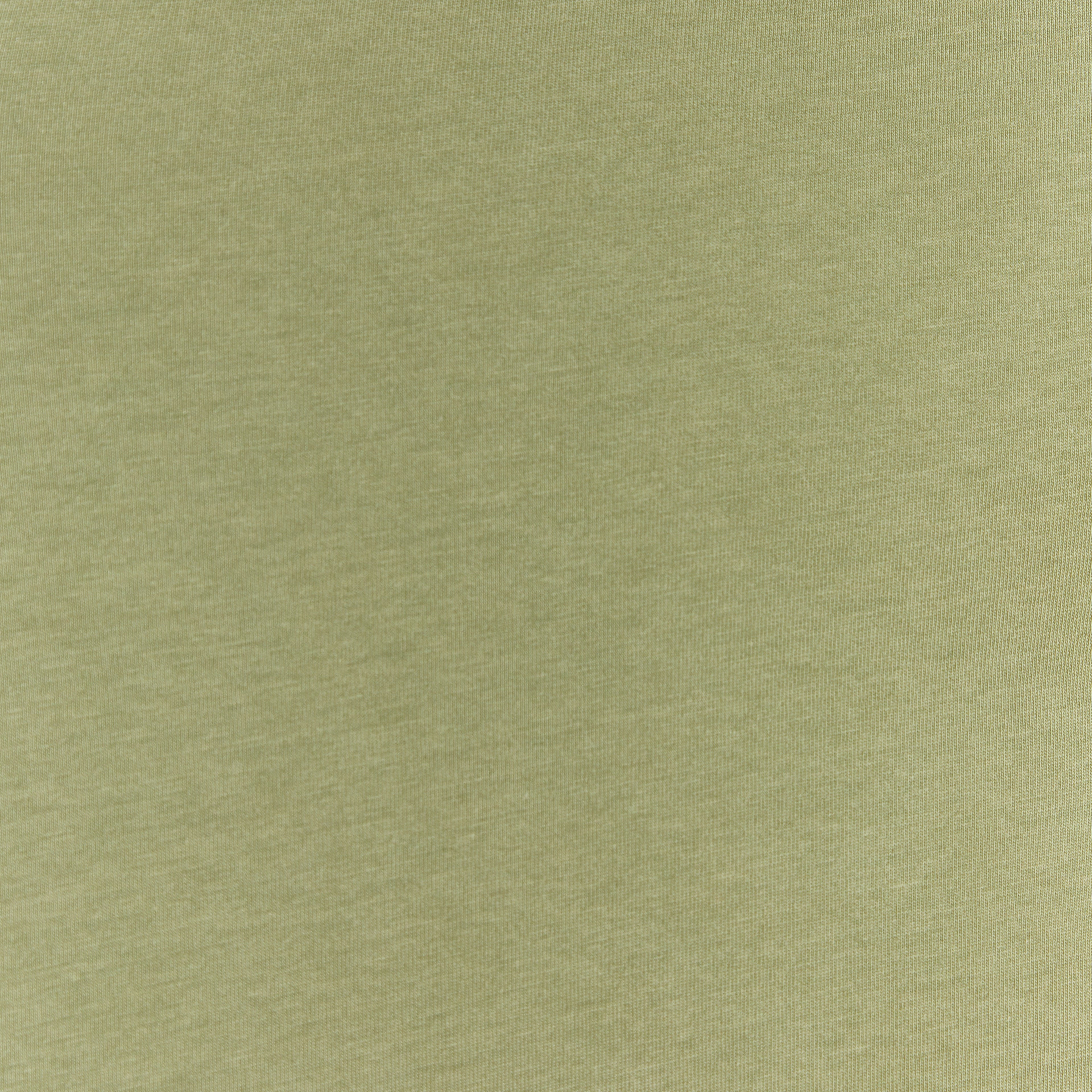 Crewneck T-shirt in Tedra™ Light - Light Army